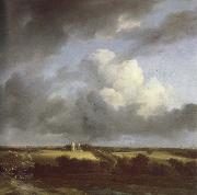 Jacob van Ruisdael View of the Ruins of Huis ter Kleef and Haarlem oil painting artist